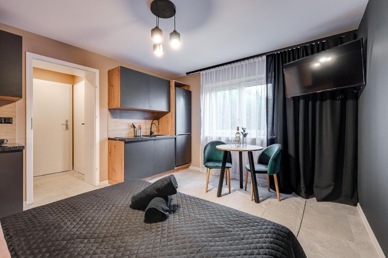 Loft House Apartment Studio Z Ogrodkiem 1 雷布尼克 外观 照片