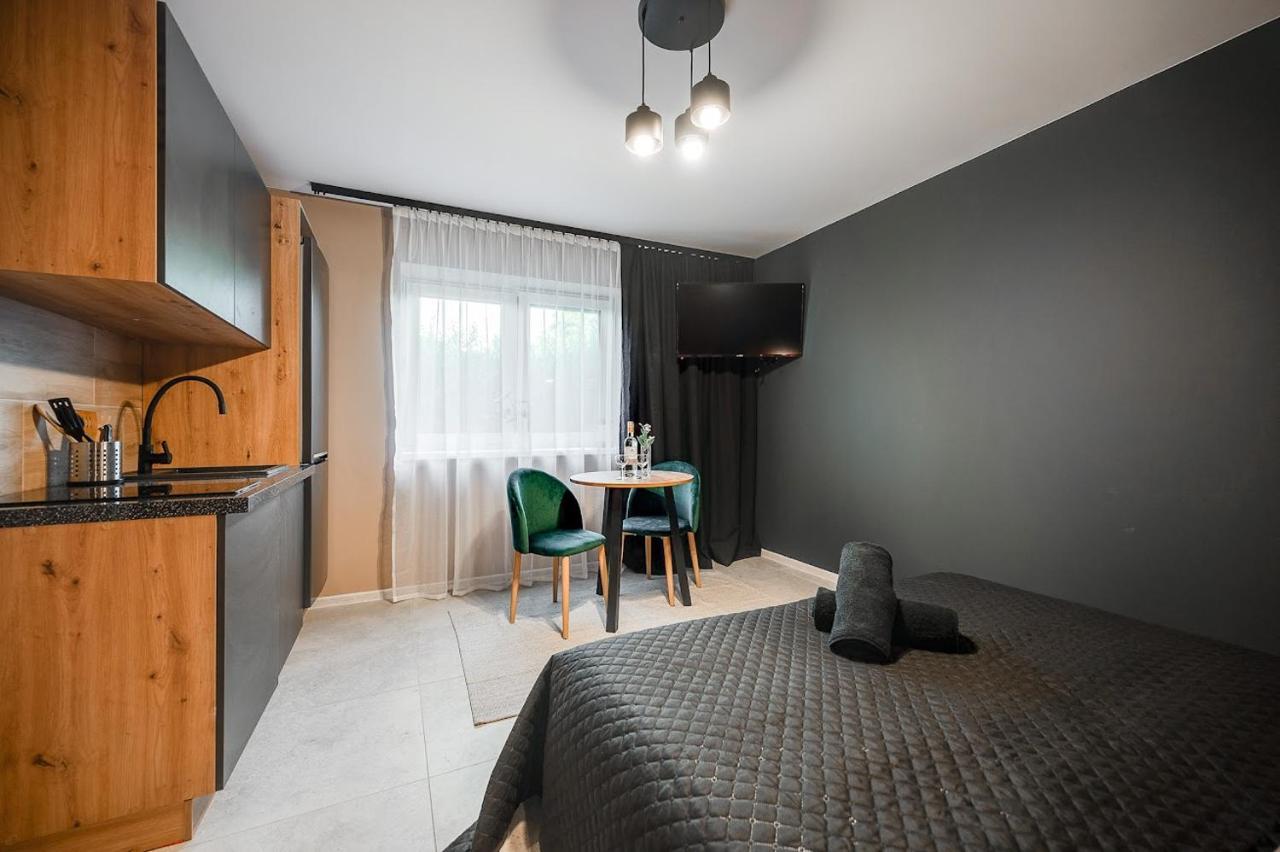 Loft House Apartment Studio Z Ogrodkiem 1 雷布尼克 外观 照片